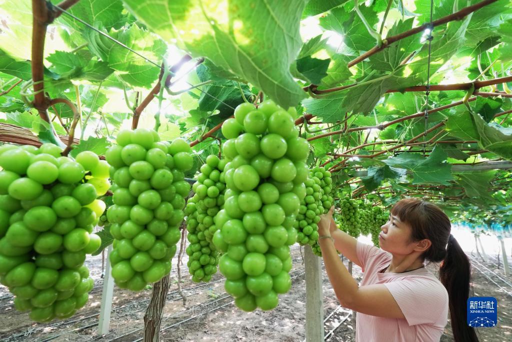 游戏平台注册就送38元